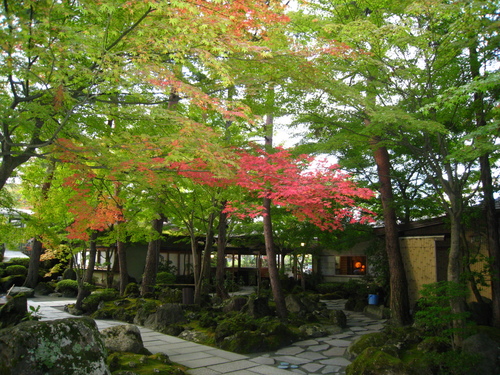 平成24年10月19日の庭園