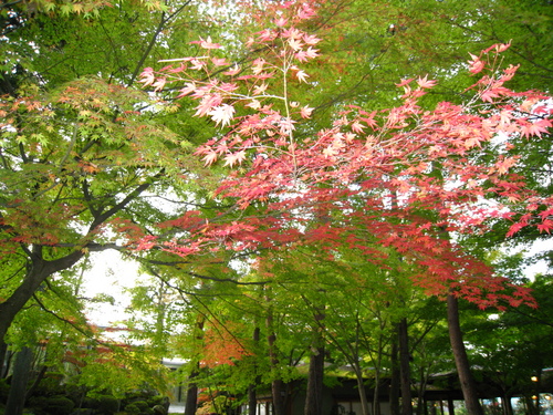 平成24年10月19日の庭園