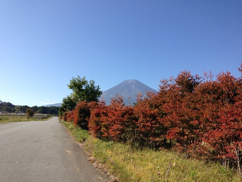 庭園の紅葉情報　vol３｜富士山温泉ホテル鐘山苑