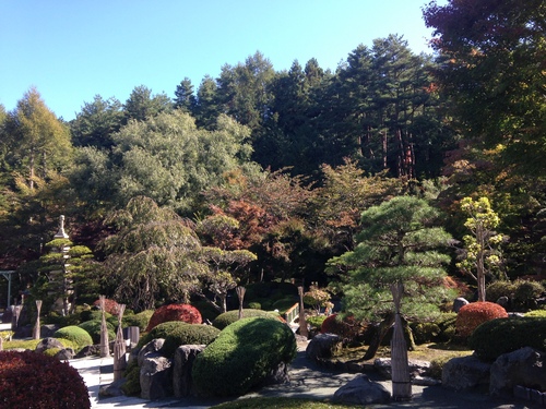 平成２４年１０月２４日の庭園