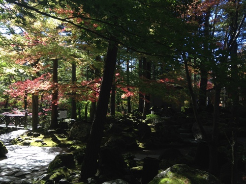 平成２４年１０月２４日の庭園