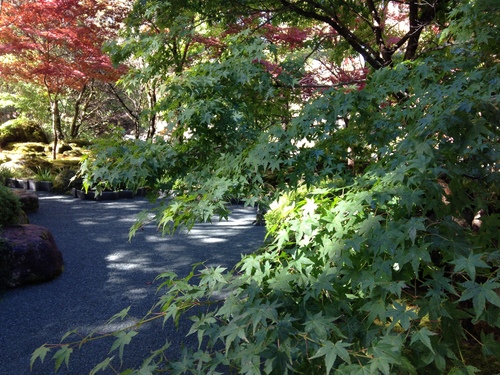 平成２４年１０月２９日の庭園