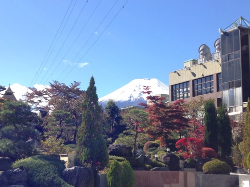 平成２４年１０月２９日の庭園