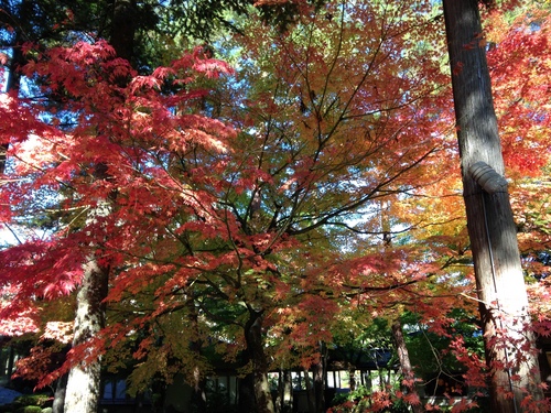 平成２４年１０月２９日の庭園