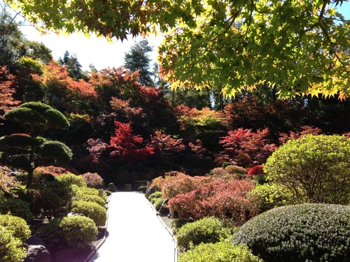 平成２４年１０月２９日の庭園