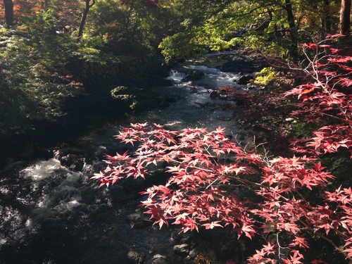 平成２４年１０月２９日の庭園