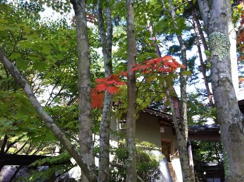 平成２４年１０月２日の庭園