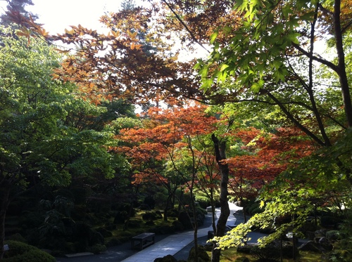 平成２４年１０月２日の庭園