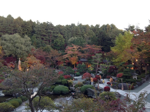 庭園の紅葉情報　vol７｜富士山温泉ホテル鐘山苑