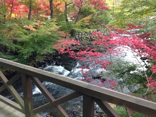 平成２４年１１月１日の庭園