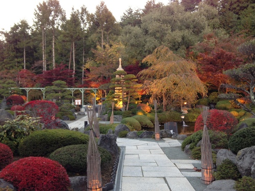 平成２４年１１月１日の庭園