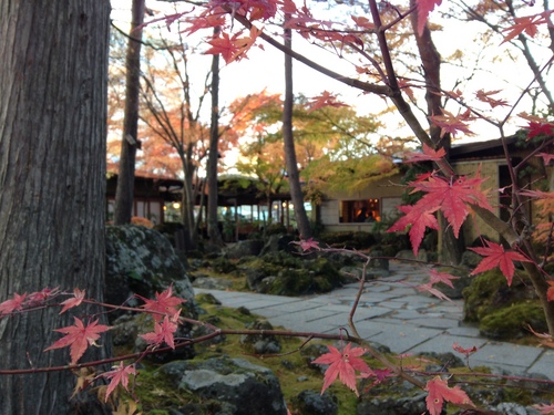 平成２４年１１月１９日の庭園