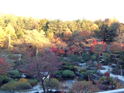 平成２４年１１月１９日の庭園