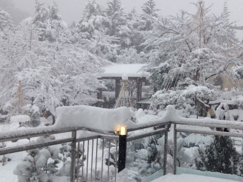 富士山温泉ホテル鐘山苑：庭園