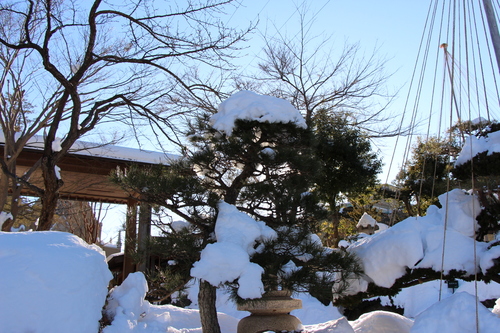 富士山温泉ホテル鐘山苑：庭園