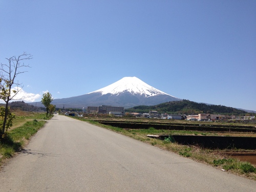 春の庭園情報｜富士山温泉ホテル鐘山苑