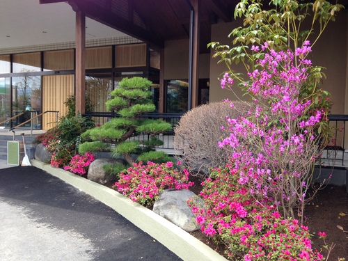 富士山温泉ホテル鐘山苑：庭園・ツツジ
