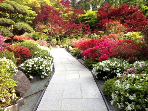 富士山温泉ホテル鐘山苑：庭園・ツツジ