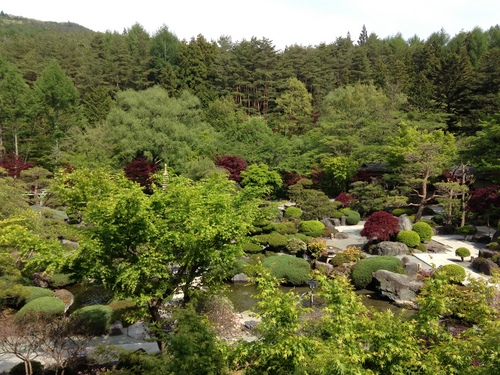 春の庭園情報（ツツジ）｜富士山温泉ホテル鐘山苑