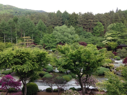 春の庭園情報｜富士山温泉ホテル鐘山苑