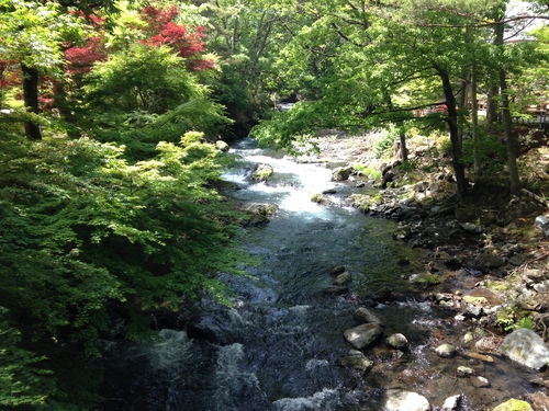 富士山温泉ホテル鐘山苑：庭園