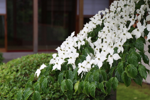 富士山温泉ホテル鐘山苑：庭園