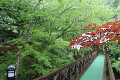 富士山温泉ホテル鐘山苑：庭園