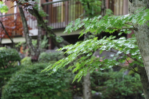 富士山温泉ホテル鐘山苑：庭園