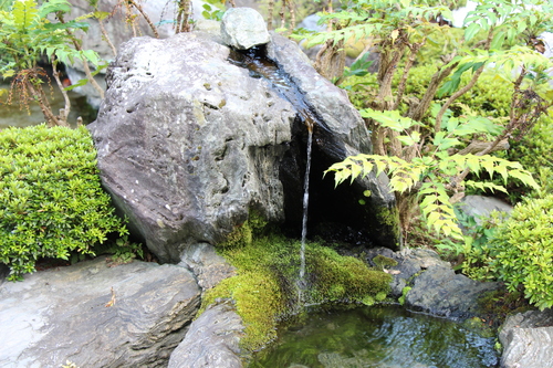 富士山温泉ホテル鐘山苑：庭園