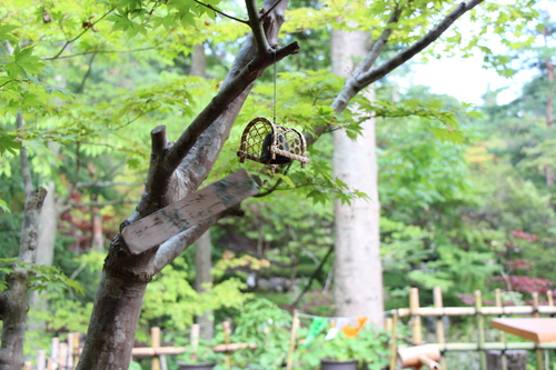 富士山温泉ホテル鐘山苑：庭園