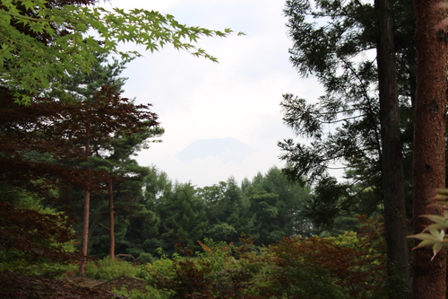 富士山温泉ホテル鐘山苑：庭園