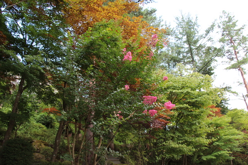 富士山温泉ホテル鐘山苑：庭園