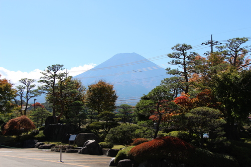 富士山温泉ホテル鐘山苑：紅葉５＿３