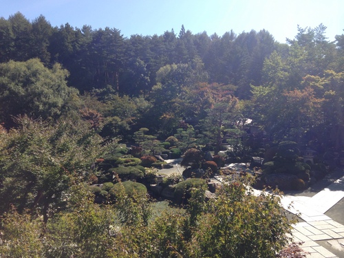 庭園の紅葉情報№３｜富士山温泉ホテル鐘山苑