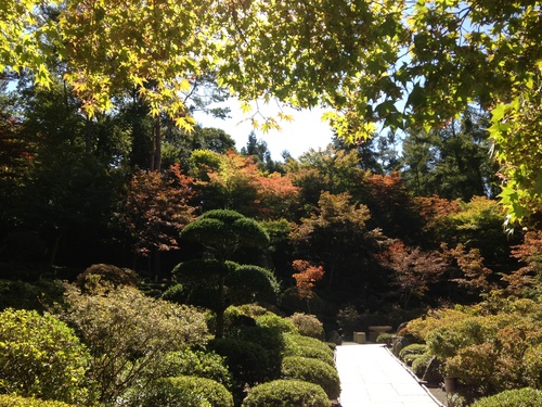 富士山温泉ホテル鐘山苑：庭園・紅葉