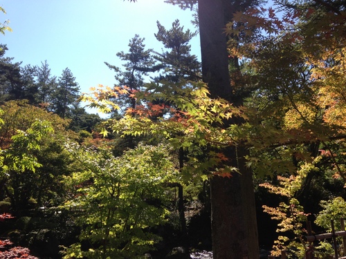 富士山温泉ホテル鐘山苑：庭園・紅葉