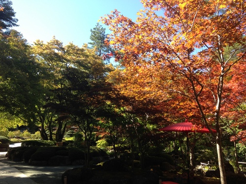 富士山温泉ホテル鐘山苑：庭園・紅葉