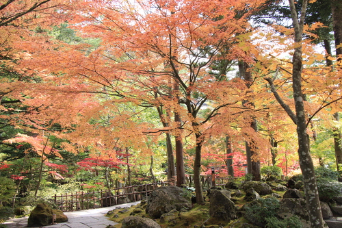 富士山温泉ホテル鐘山苑：１１／２紅葉＿１