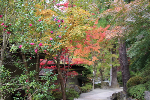 富士山温泉ホテル鐘山苑：１１／２紅葉＿８