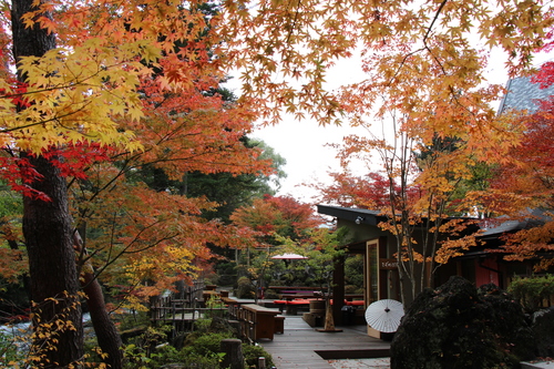 富士山温泉ホテル鐘山苑：１１／２紅葉＿９