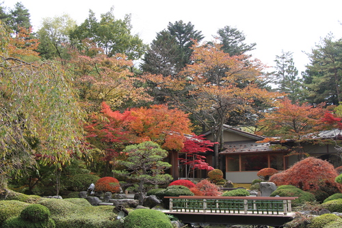 富士山温泉ホテル鐘山苑：１１／２紅葉＿１０