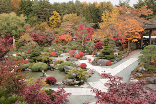 富士山温泉ホテル鐘山苑：紅葉１１／９＿１