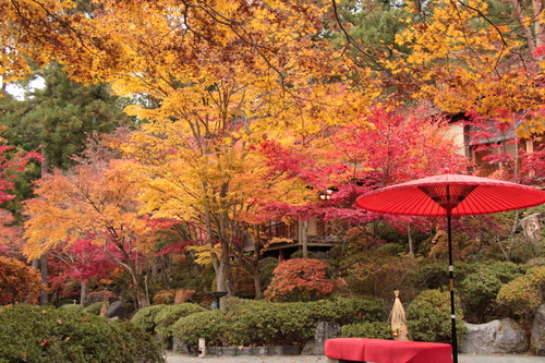 富士山温泉ホテル鐘山苑：紅葉１１／９＿８