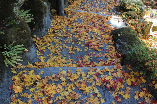 富士山温泉ホテル鐘山苑：１１／１３＿５