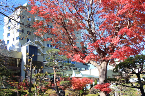 富士山温泉ホテル鐘山苑：１１／１３＿８