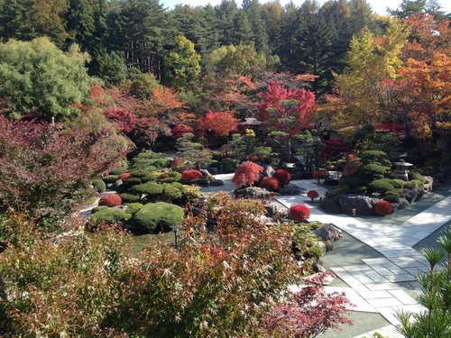 富士山温泉ホテル鐘山苑：庭園紅葉8