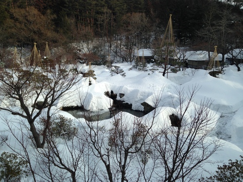 富士山温泉ホテル鐘山苑：庭園