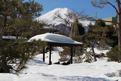 庭園情報｜富士山温泉ホテル鐘山苑