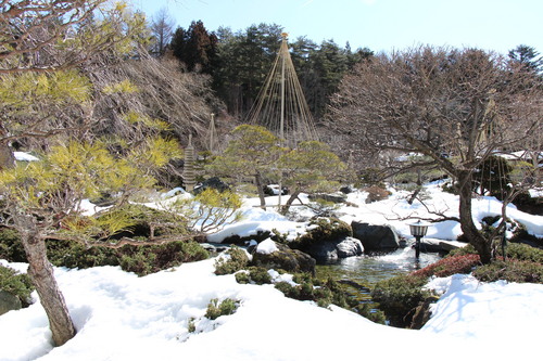 富士山温泉ホテル鐘山苑：３／１１＿４