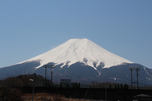 ２０１４年庭園の梅・桜開花情報№３